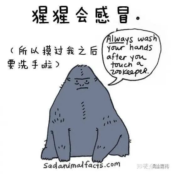 30個(ge) 有趣的科普小星空体育官网入口网站，你知道幾個(ge) ?