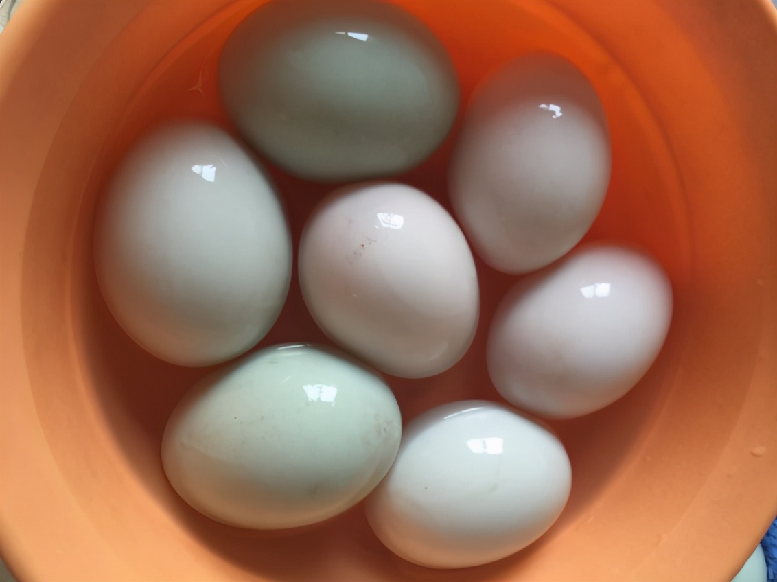 图片[4]-煮熟的咸鸭蛋如何保存 这样做和刚煮的一样好吃-起舞食谱网