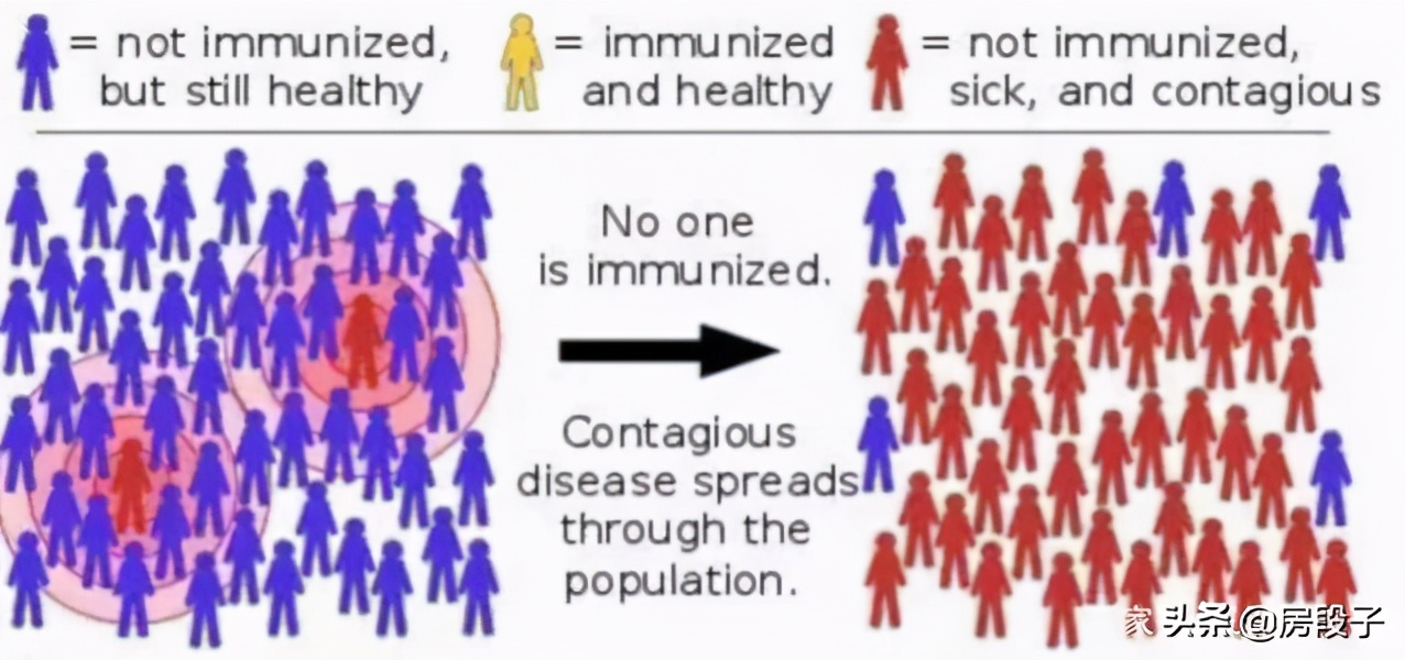 “群體免疫”發端於英國成功於印度? 新德里千萬人疑染新冠