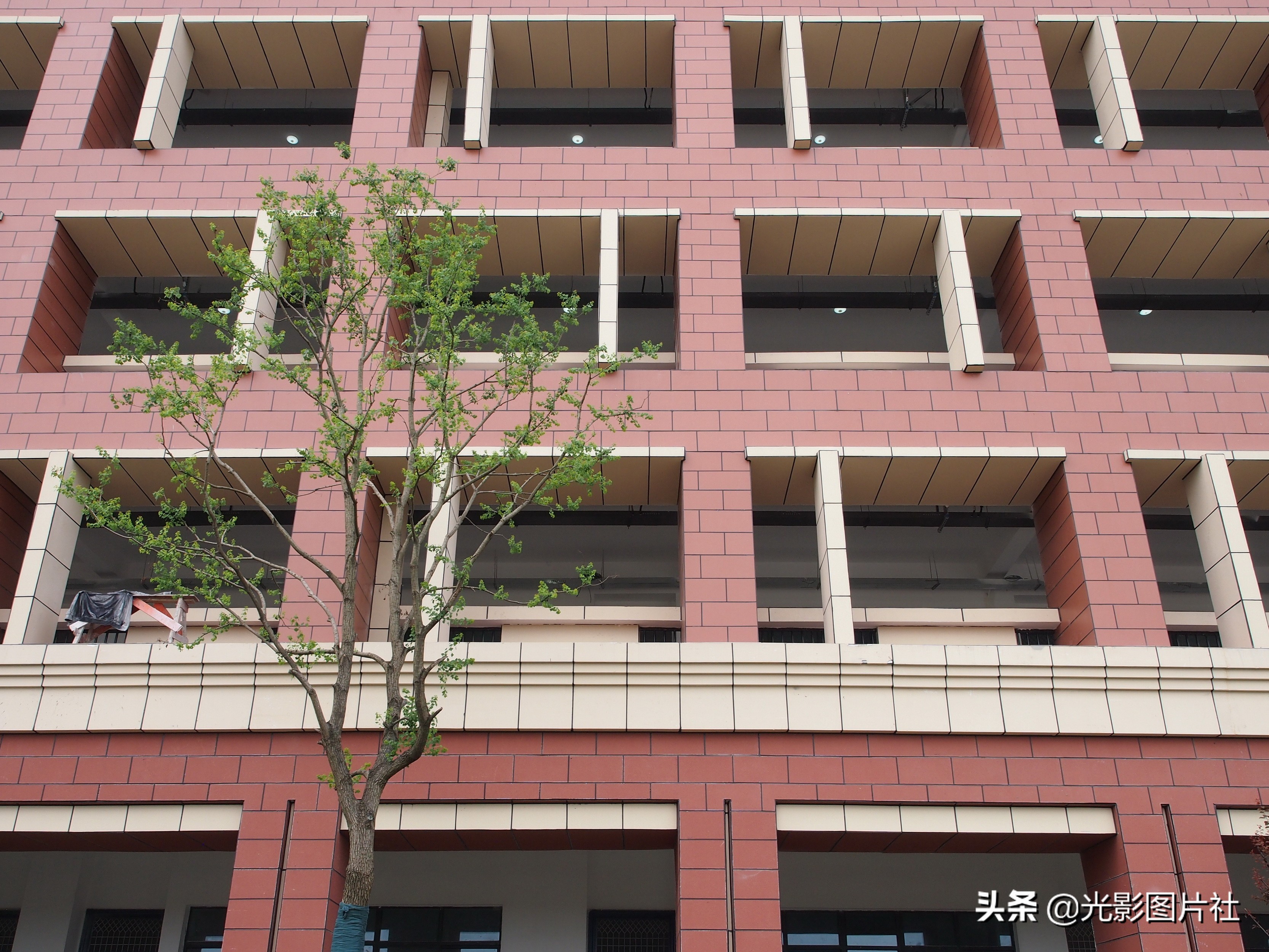 合肥市第九中学即将完工的职教城新校区(图40)