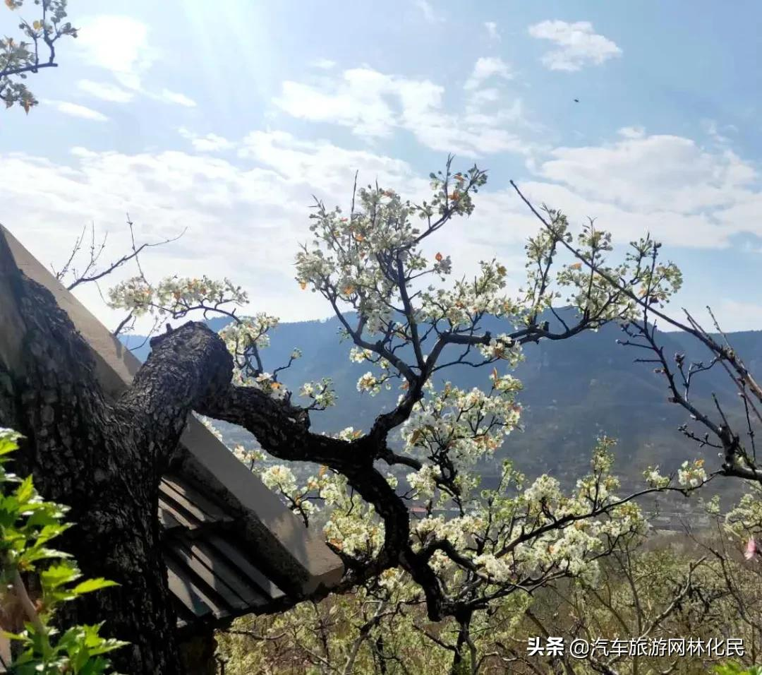 「3.27日·好客山东年卡」平邑九间棚+康谷温泉1日游