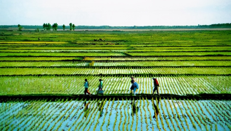 智慧农业时代到来，中国农业芯片引领世界