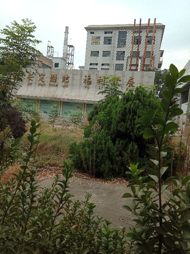 鲁抗医药老厂区的喷水池，已经杂草丛生，可金字招牌依然闪亮如新