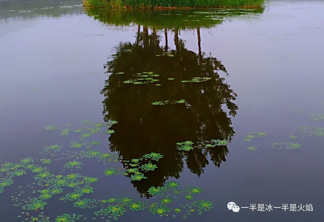 周末，你那里下雨了吗-第1张图片-诗句网