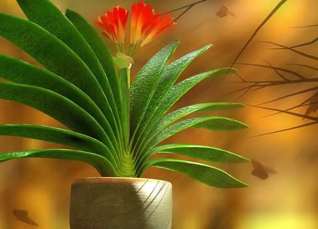 炒！炒币！炒鞋！炒玉！炒... 让普通人财富缩水的5次大坑！