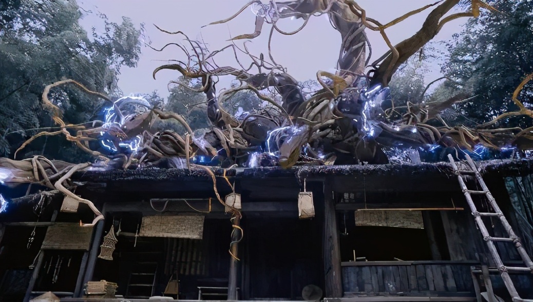 " fight Luo Daliu " specially good effect counters a day, the actor does not have objective performance, dress also is " Chen Qing makes "