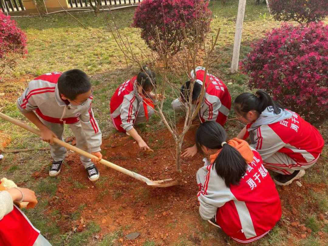 植树节 | 春风十里，正“植”有你