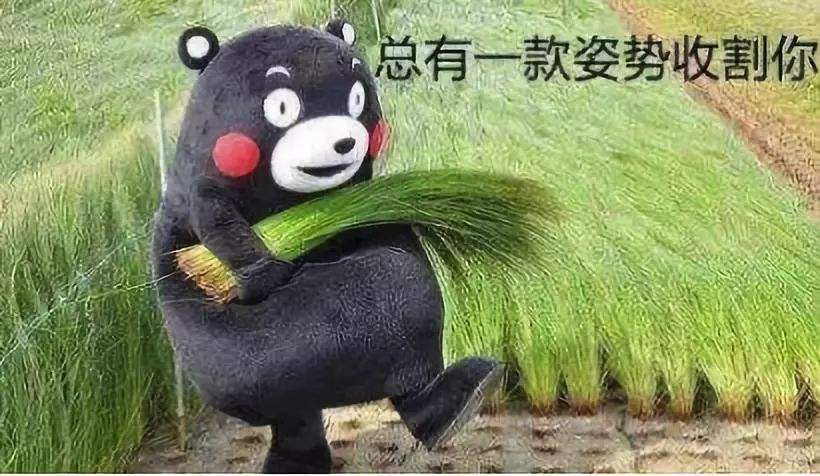 网贷还没有上岸的你，现在过得还好吗