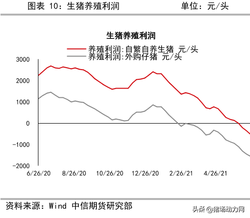 2021养猪业年中盘点：一大事件，两大政策，三大趋势