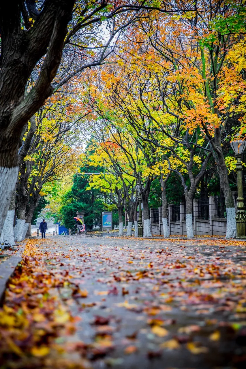 The most beautiful place to travel in November, no strategy and no money, which one do you want to go to?