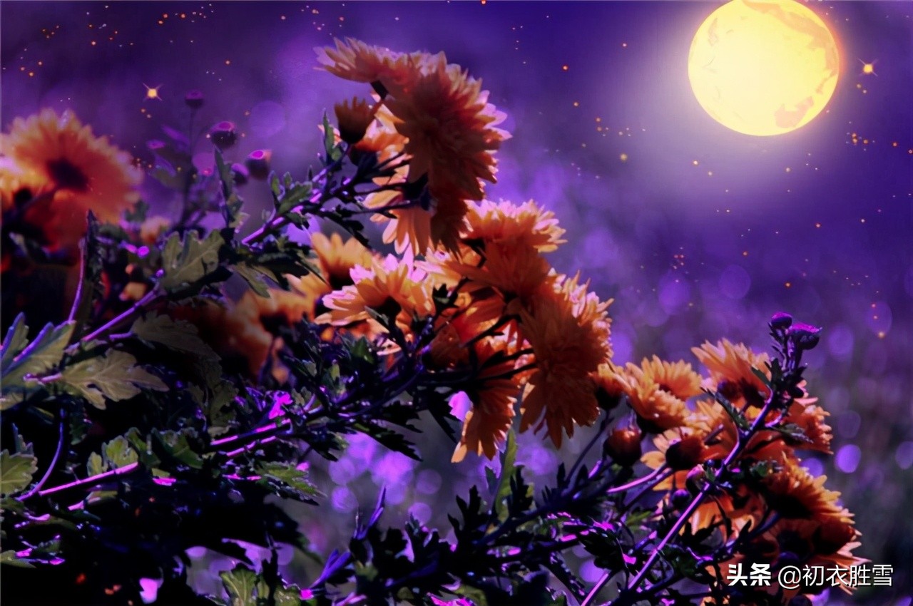还看唐朝张若虚的，春江花月夜-第4张图片-非凡网
