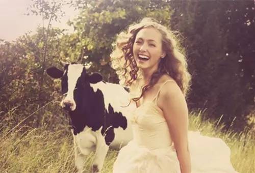 The journey illuminates such patting, true meeting is very good-looking