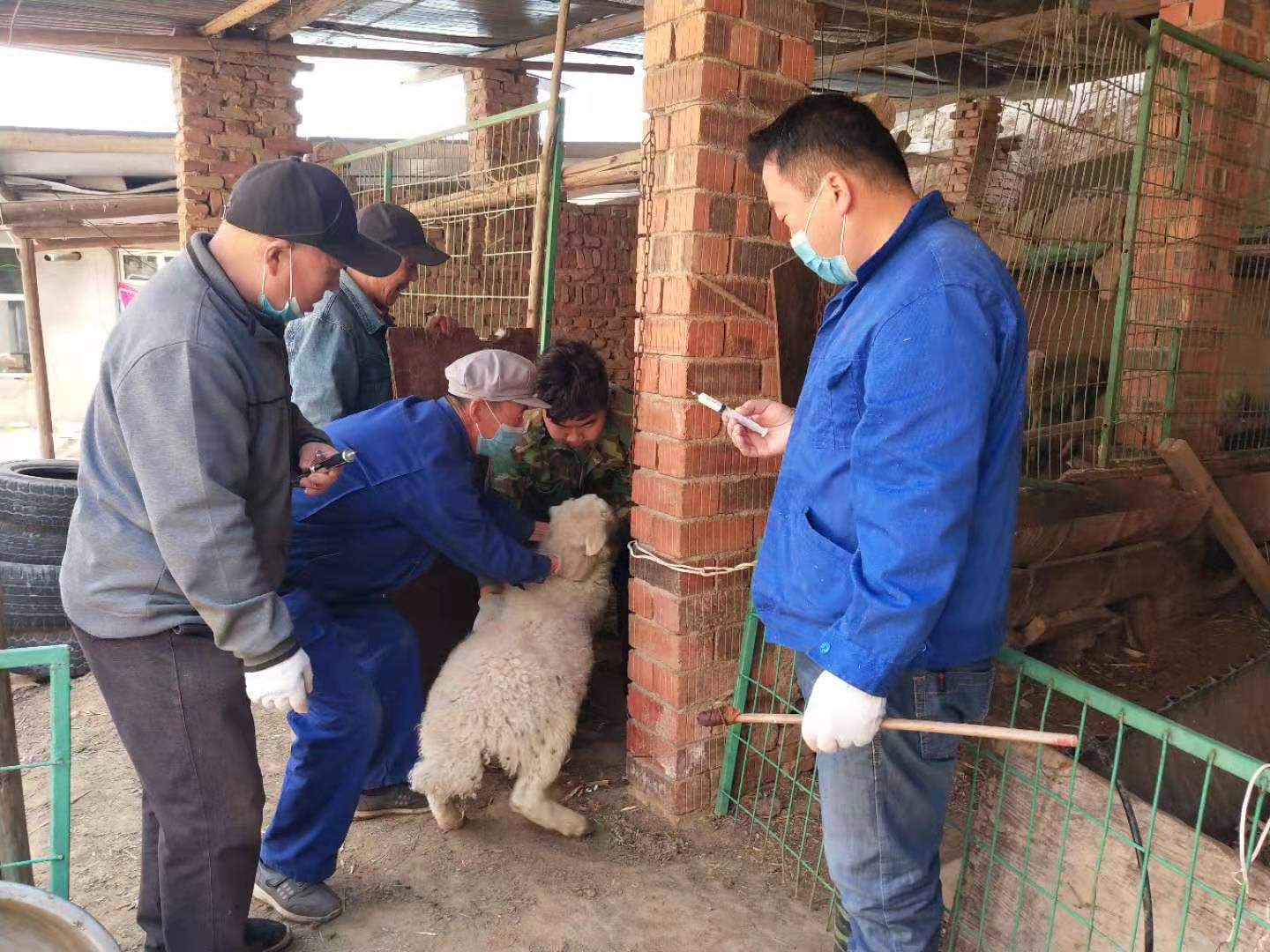 西固区东川镇召开春季动物疫病防控工作安排部署会