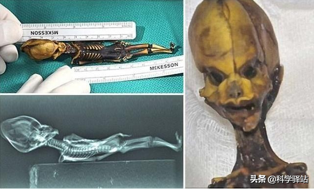 2021年了，你還相信宇宙中真的有外星人嗎？