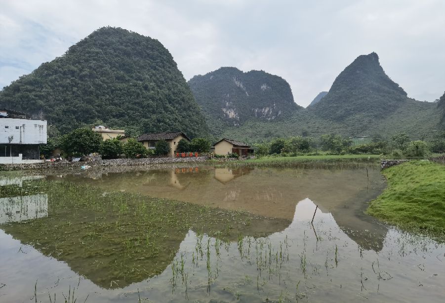 旅游业为何沦为灰色产业？