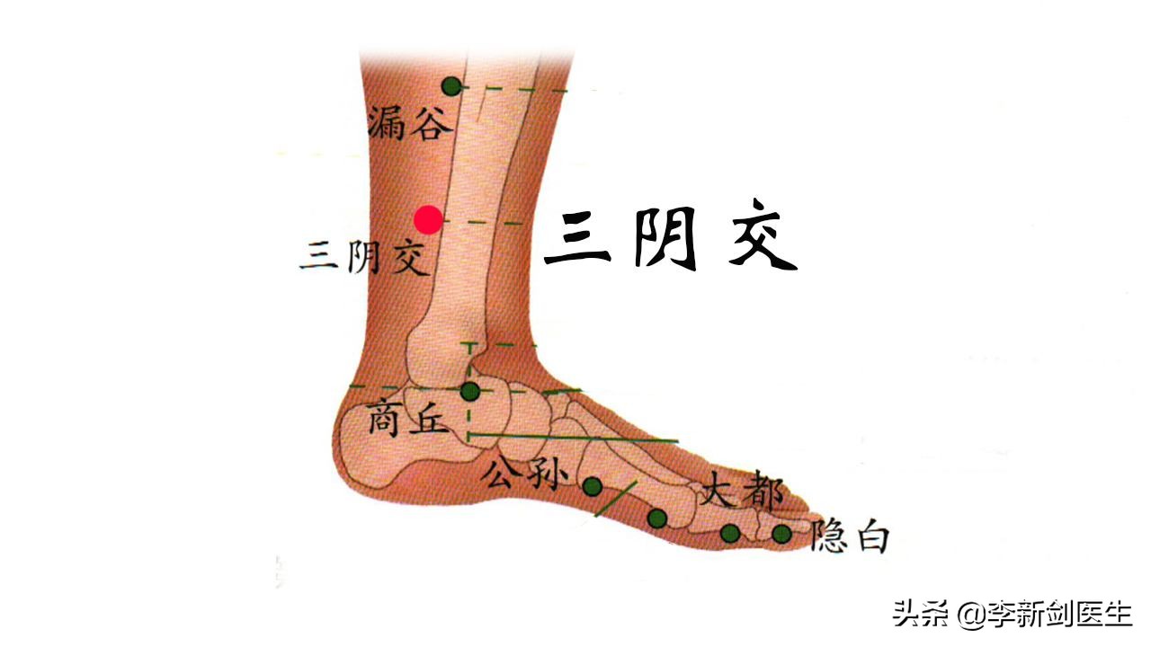 太陰--《備急千金要方》大陰--《經穴匯解》