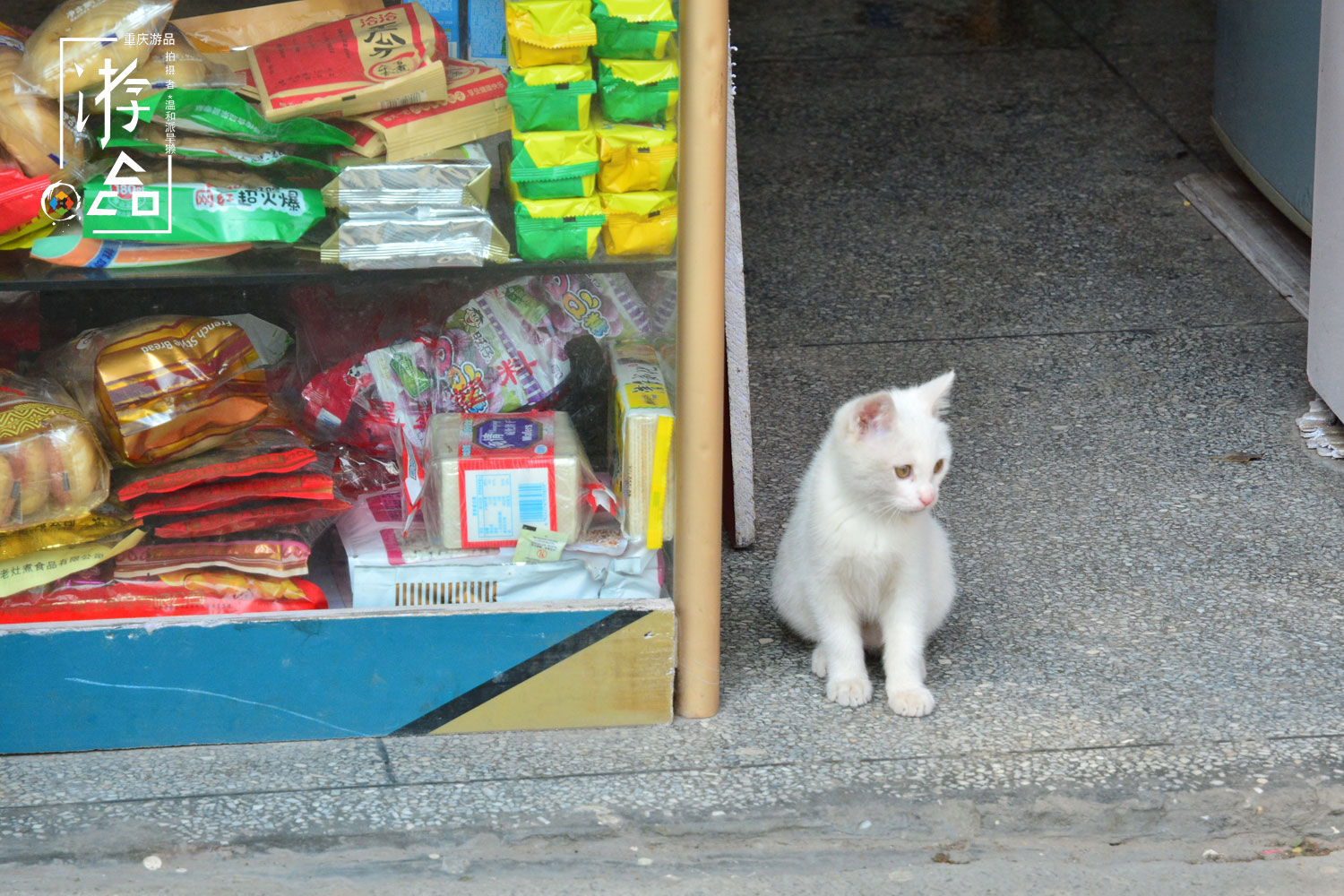 重庆常被误解的地名：权贵所在的鹅岭，是否应该恢复原名？