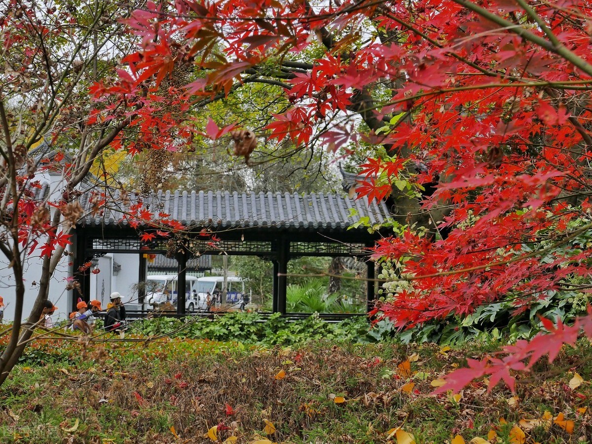 Anhui in autumn, one night into autumn, Huizhou became beautiful