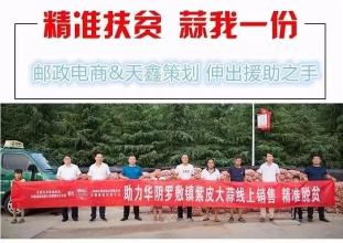 大蒜上市就“跌”入谷底，网红救市你会伸出援手吗？