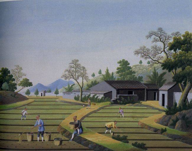 Ŵյô࣬ΪʲôũɱҲȥѻĵأ