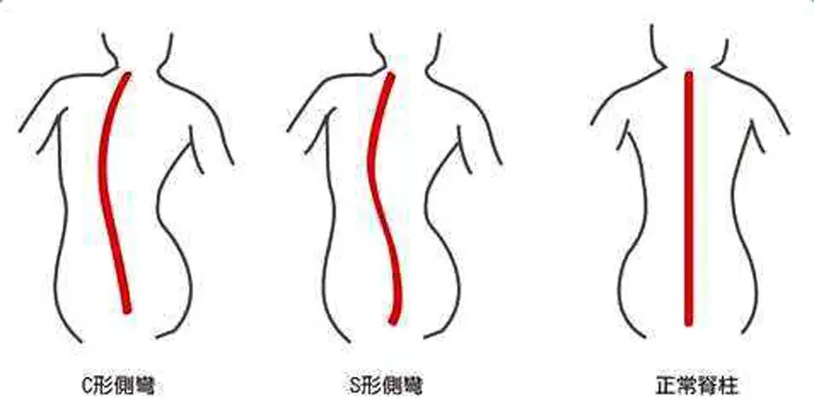 能够支撑脊椎的才是好床垫 苏老伯黄麻床垫