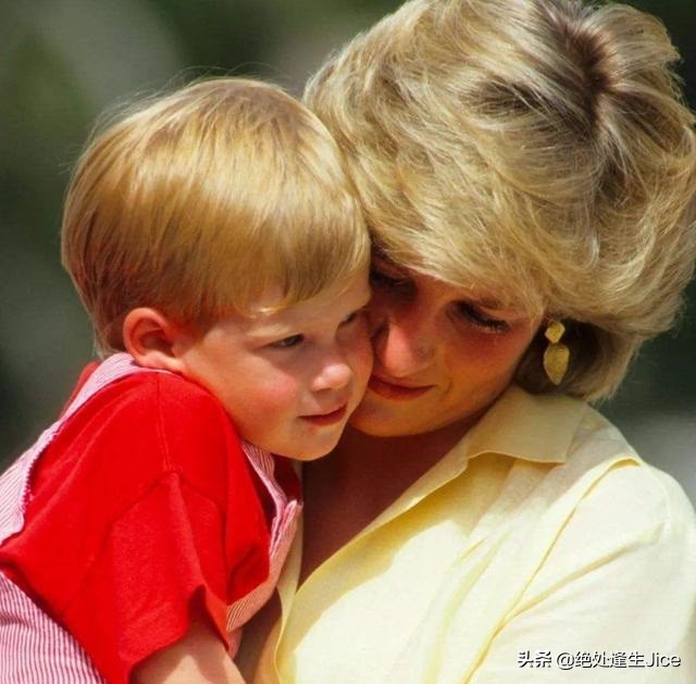 哈里向戴安娜支持的慈善机构传递最真挚情感，