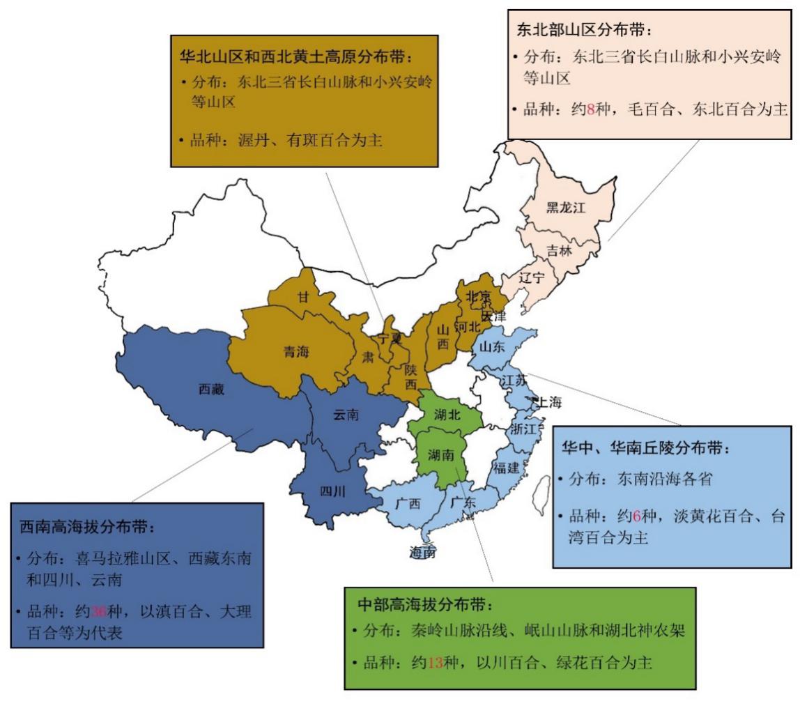 云南16个蔬菜大县地图图片