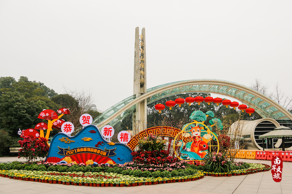 蜡梅花开！走进南山植物园，感受冬日里的温馨一刻