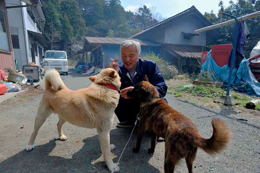 日本一6旬老人，曾主动去福岛“核辐射区”照料动物，结局怎样？