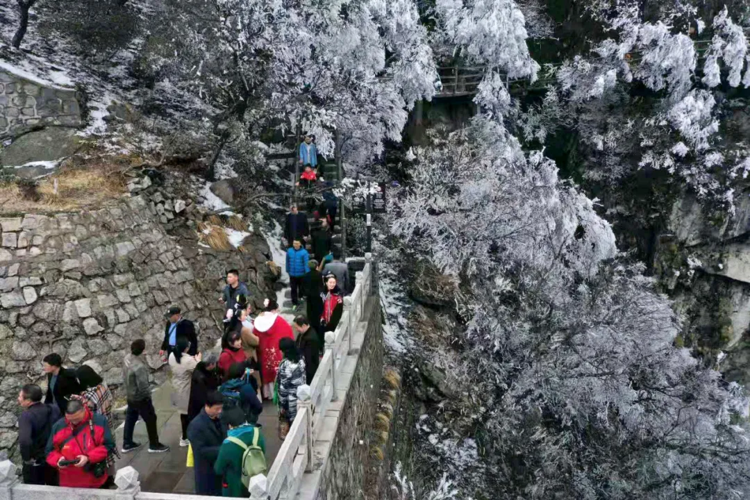 清明踏青賞春光，堯山迎來假期旅游高峰！