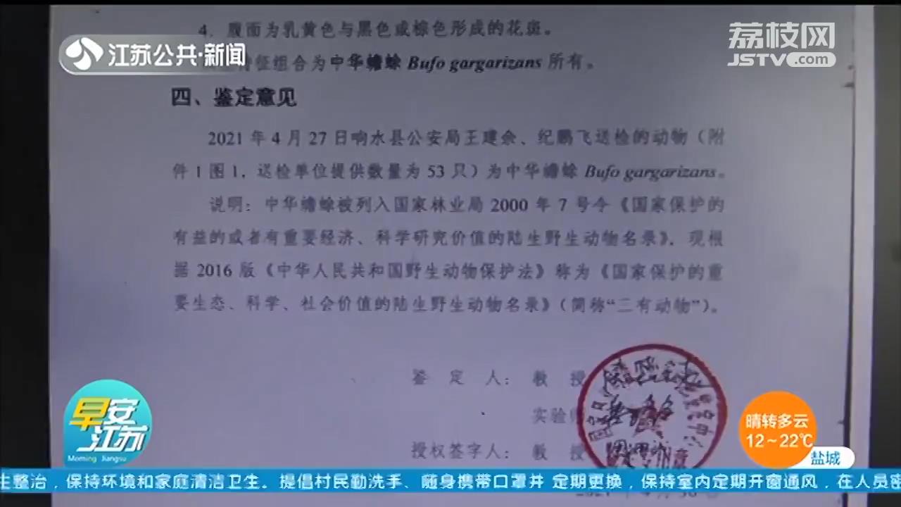 响水夫妻捕捉53只癞蛤蟆被起诉 涉嫌&ldquo;非法狩猎罪&rdquo;