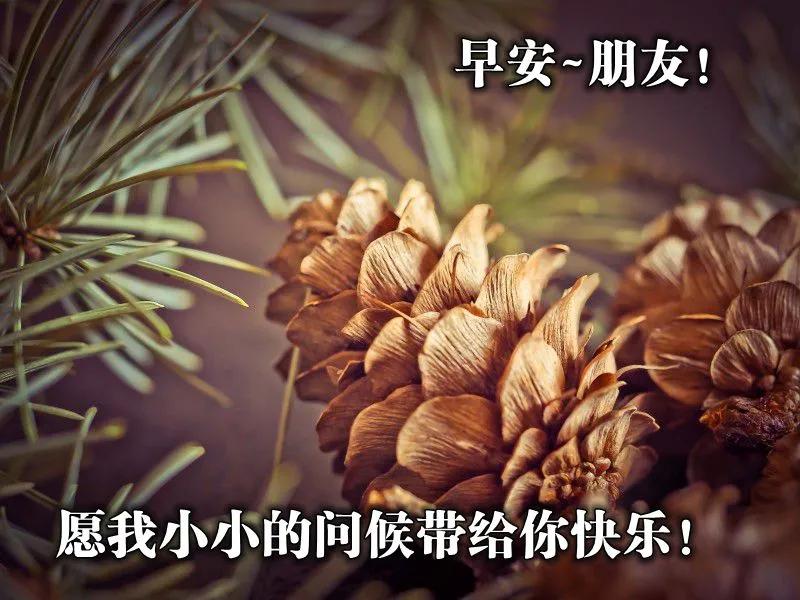 最新的祝福图片带字，最真诚的早上好美图片图片