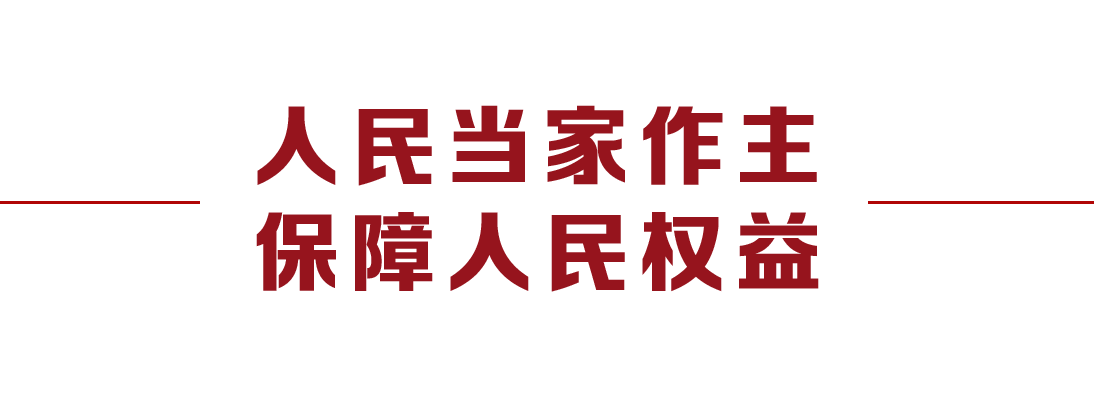 大黨丨人民的事人民議 人民的事人民定