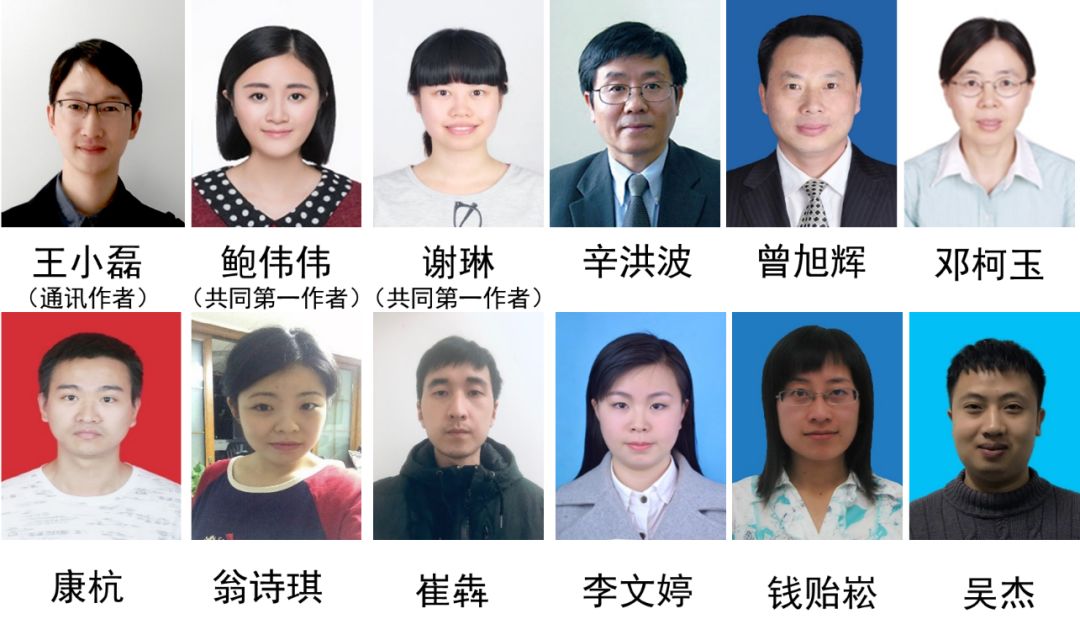 注射一次長久有效！南昌大學王小磊團隊研發(fā)出男性避孕藥
