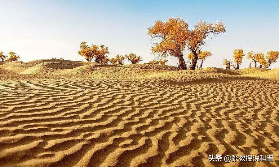 全球变暖，塔克拉玛干沙漠遭遇罕见洪水，未来会变成绿洲吗？
