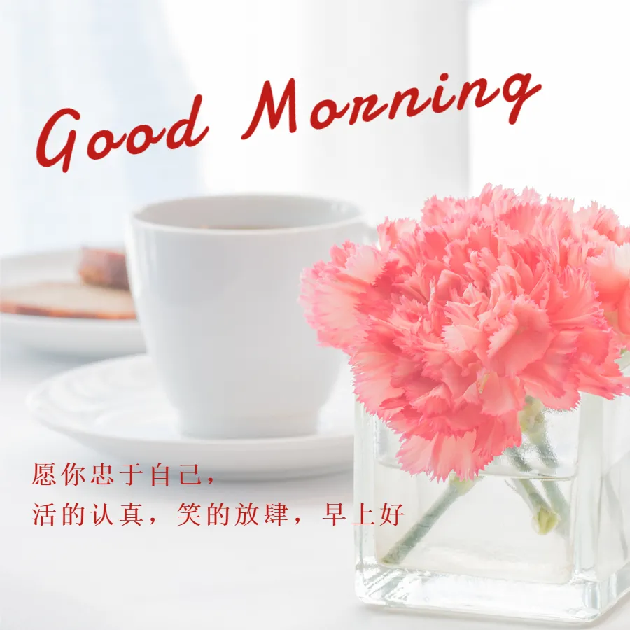 清晨各种问候语的动态图片 有趣的早安问候语和图片图片