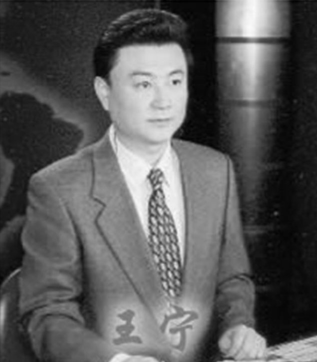 “央视国脸”王宁刘纯燕，从不被看好到结婚33年，他们经历了什么