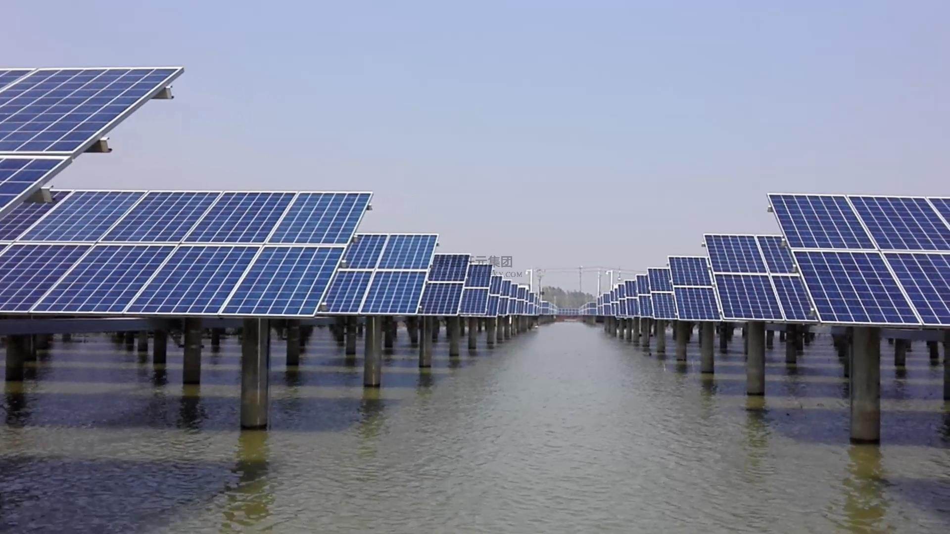 美国人往水库里放9600万个黑球，五年后水库和黑