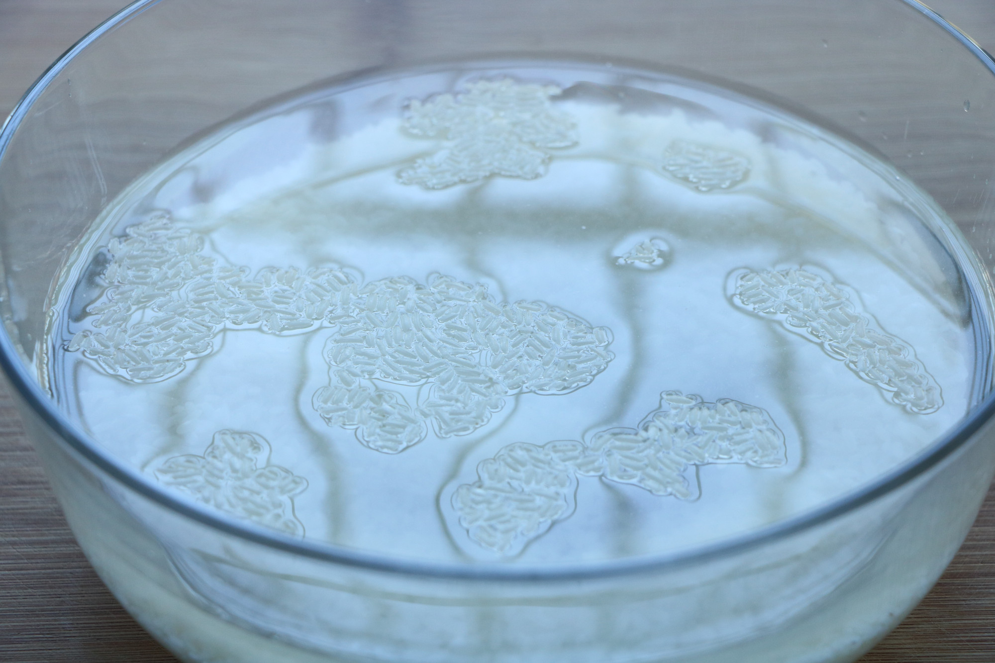 立冬了，超級好吃的懶人煲仔飯，簡單省事，比叫外賣強多了