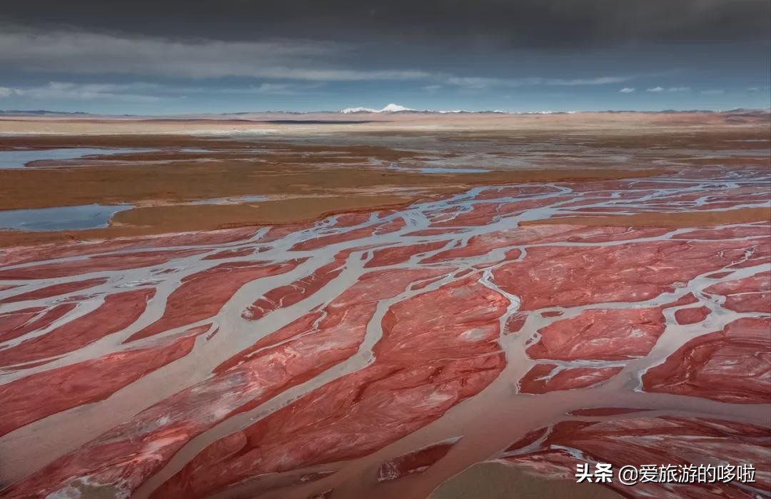 青海值得旅游的地方 青海湖最佳旅游月份(圖49)