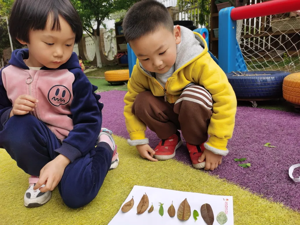 眼睛的秘密——四川天府新区华阳幼儿园南区小一班安全主题活动
