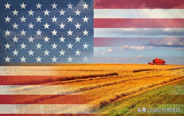 中美农业的差距到底在哪里，数据对比一目了然