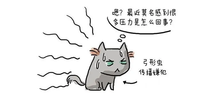 “弓形虫”不是洪水猛兽，无需恐慌，也不能大意