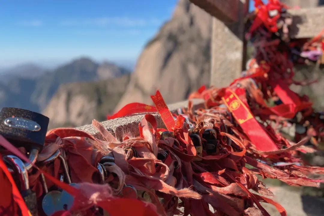 东学团建（上海校篇）|天気がいいから、登山しましょう