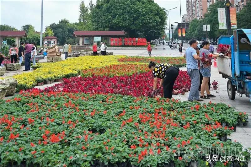 美滴很!内江换上“国庆限定皮肤”——