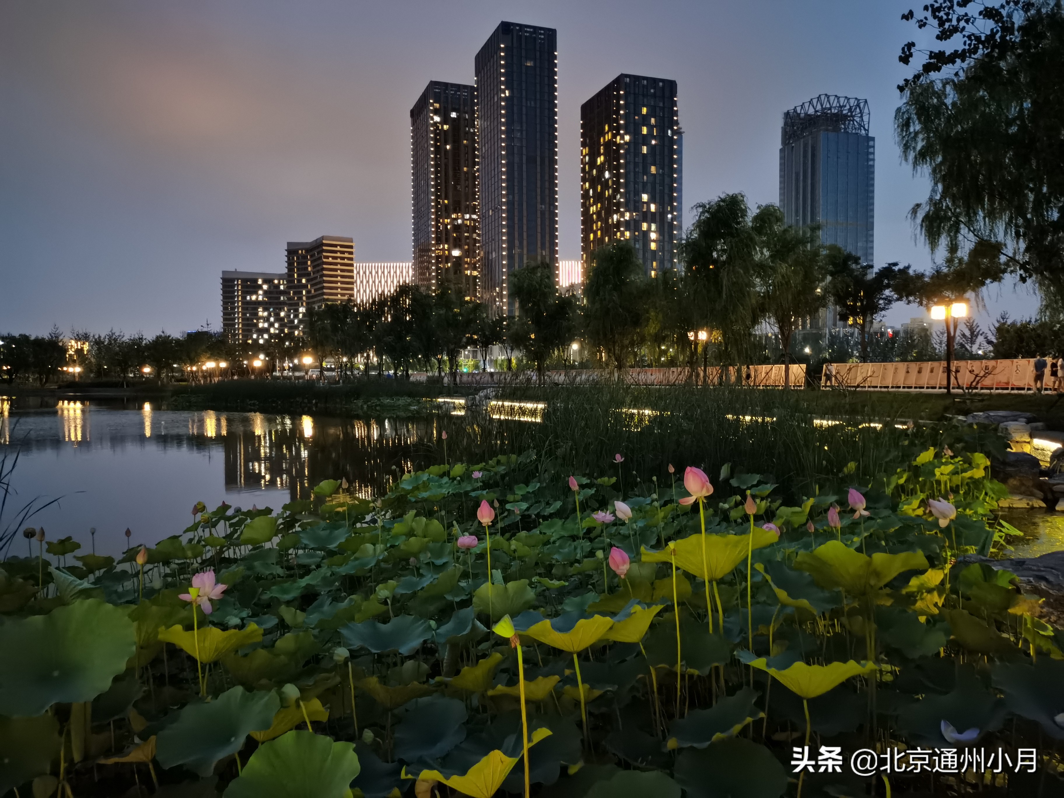 这个公园是北京通州一颗璀璨的明珠带你看今日漂亮的通州夜景