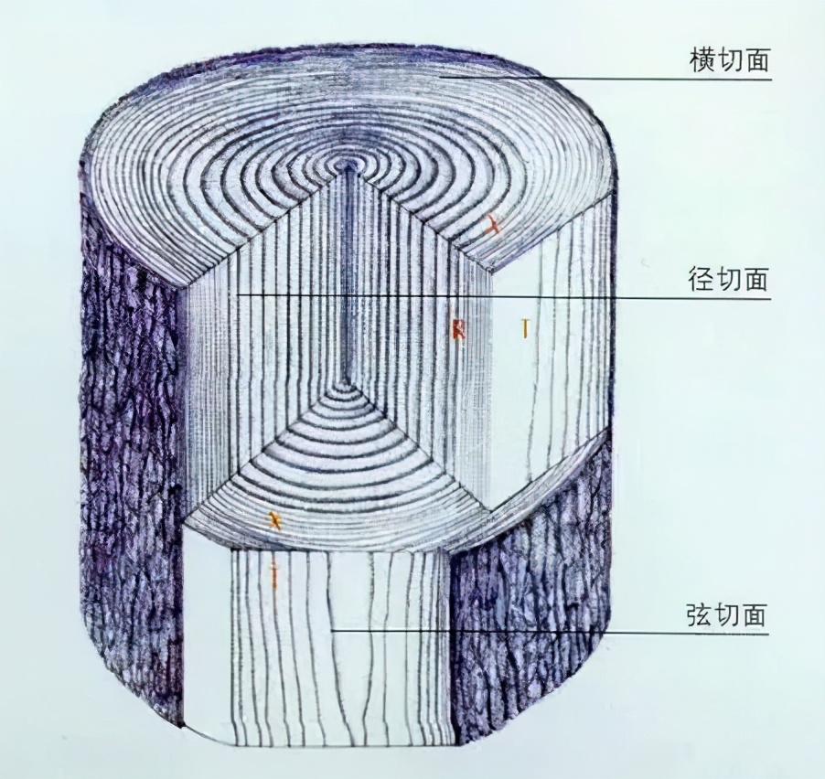 CMF实验室 | 牛年细说家具纹理—牛毛纹