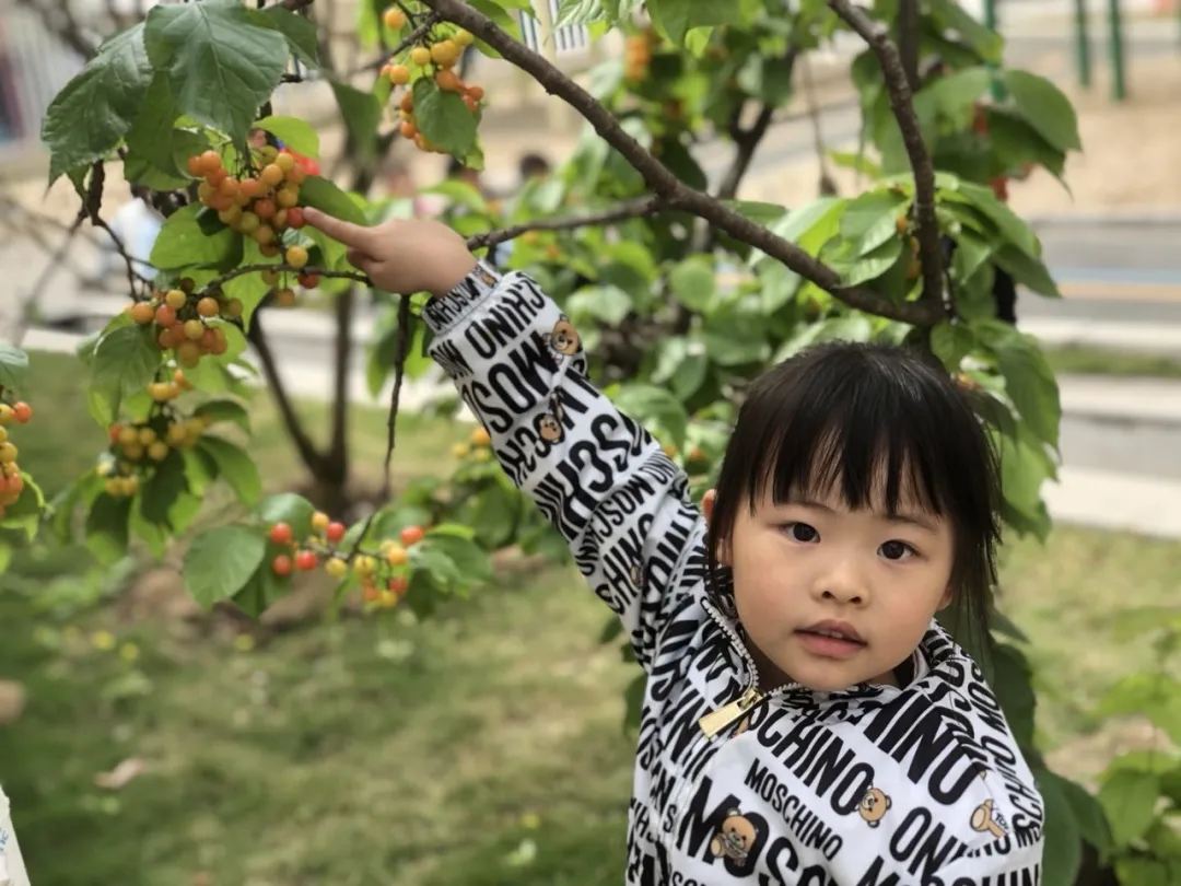 寻春丨 四川天府新区元音幼儿园组织踏春活动