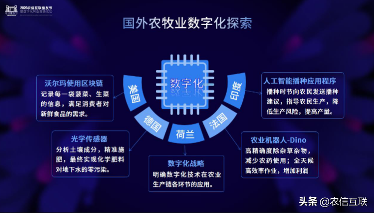 农信互联副总裁于莹：猪产业的涅槃重生 数字化