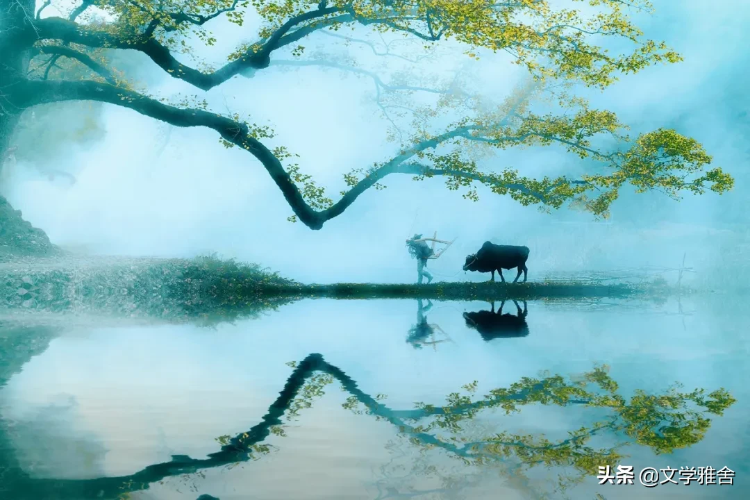 江南，那一场不愿醒来的梦